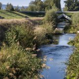 Il est prouvé que les mesures de renaturation des rivières comme pour l'Aire (GE) améliorent la qualité des eaux pour les poissons (archives). KEYSTONE/MARTIAL TREZZINI